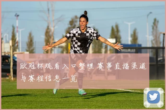 欧冠杯观看入口整理 赛事直播渠道与赛程信息一览