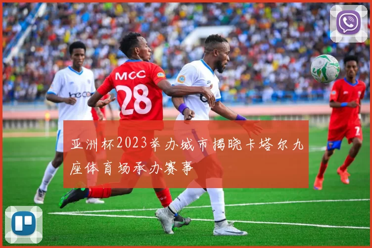 亚洲杯2023举办城市揭晓卡塔尔九座体育场承办赛事
