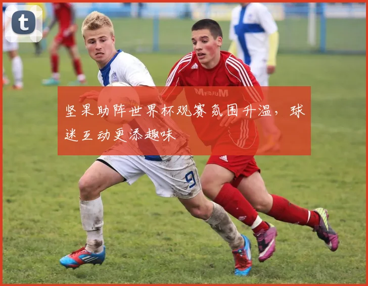 坚果助阵世界杯观赛氛围升温,球迷互动更添趣味