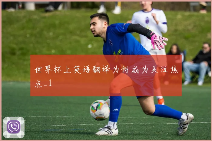 世界杯上英语翻译为何成为关注焦点_1