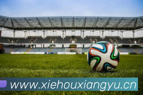 mksports网站发展历程